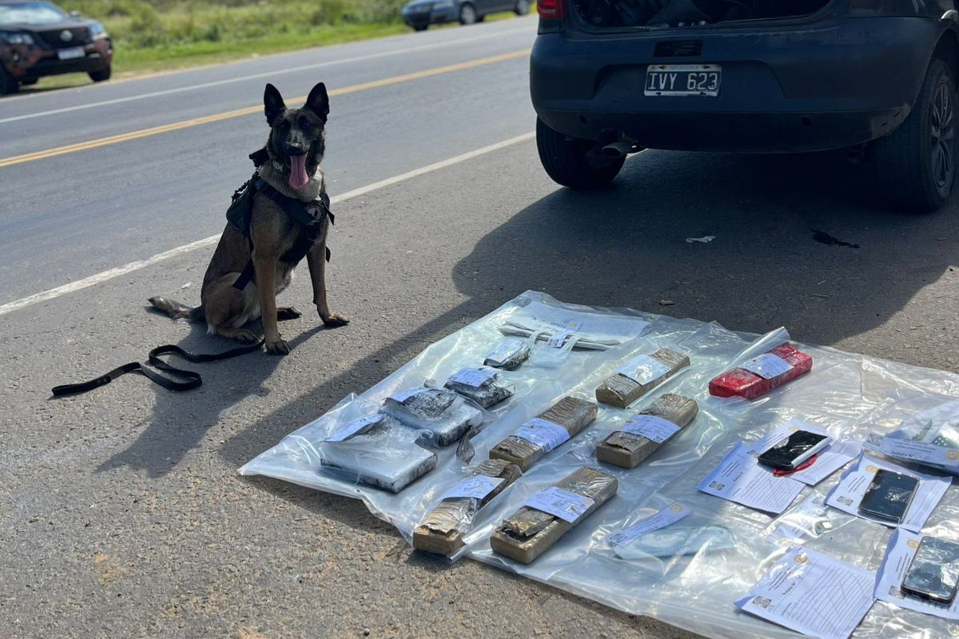 Mali, el can antinarcóticos, permitió descubrir casi ocho kilos de droga en un control en Concordia